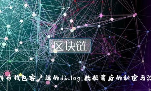揭秘比特币钱包客户端的db.log：数据背后的秘密与潜在风险