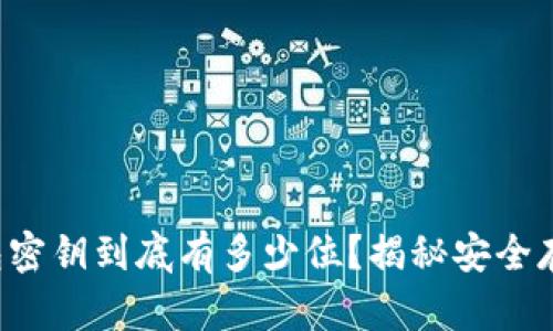 狗狗币钱包密钥到底有多少位？揭秘安全存储的真相！