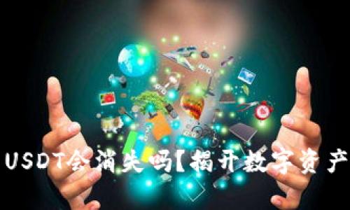 波场钱包中的USDT会消失吗？揭开数字资产的真相与未来