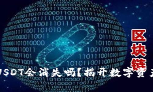 波场钱包中的USDT会消失吗？揭开数字资产的真相与未来