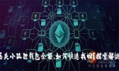 意外丢失小狐狸钱包余额