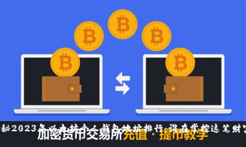 揭秘2023年以太坊个人钱包地址排行：谁在掌控这笔财富？