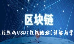 如何快速找到您的USDT钱包