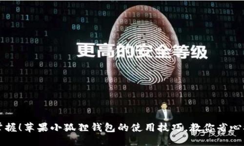 轻松掌握！苹果小狐狸钱包的使用技巧，教你省心又省力