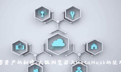 解锁数字资产的秘密：火狐浏览器上MetaMask的使用全攻略