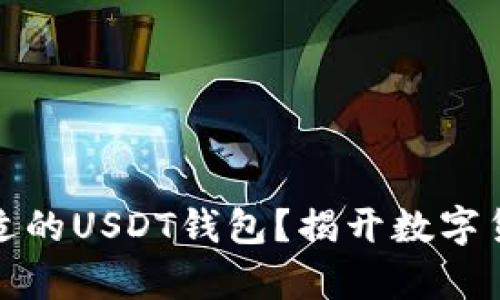 如何选择最合适的USDT钱包？揭开数字货币存储的秘密