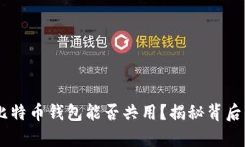 USDT钱包与比特币钱包能否共用？揭秘背后的真相与风险