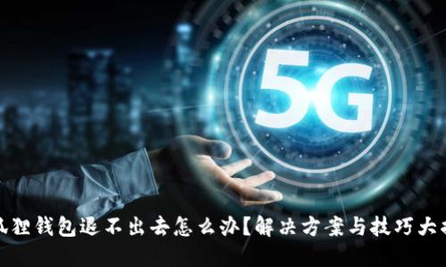 小狐狸钱包退不出去怎么办？解决方案与技巧大揭秘