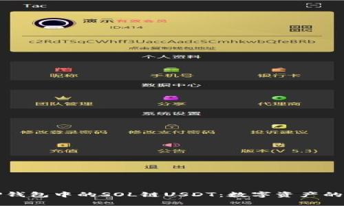 探索TP钱包中的SOL链USDT：数字资产的新篇章