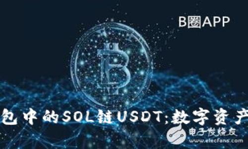 探索TP钱包中的SOL链USDT：数字资产的新篇章
