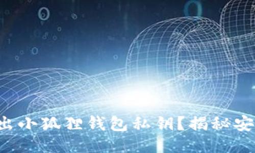 如何轻松导出小狐狸钱包私钥？揭秘安全操作步骤！