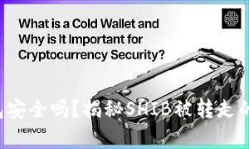 你的TP钱包安全吗？揭秘SHIB被转走的背后真相！