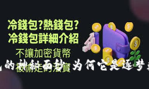 揭开比特币网页钱包的神秘面纱：为何它是逐梦数字货币的理想选择