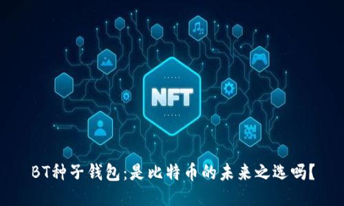 BT种子钱包：是比特币的未来之选吗？