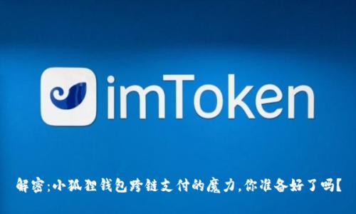 解密：小狐狸钱包跨链支付的魔力，你准备好了吗？