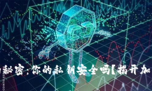 小狐狸钱包的秘密：你的私钥安全吗？揭开加密钱包的面纱