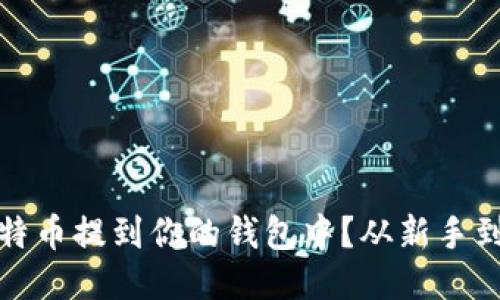 如何轻松将比特币提到你的钱包中？从新手到高手的全攻略