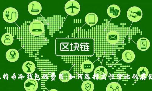 揭秘比特币冷钱包的费用：如何选择高性价比的存储方案？