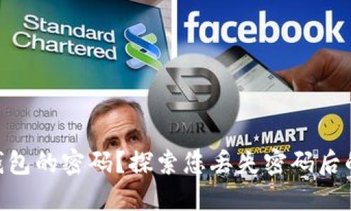 如何找回946比特币钱包的密码？探索您丢失密码后的解决方案与应对策略