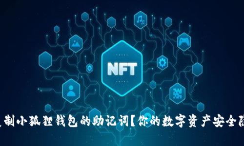 如何安全地复制小狐狸钱包的助记词？你的数字资产安全隐患了解一下！