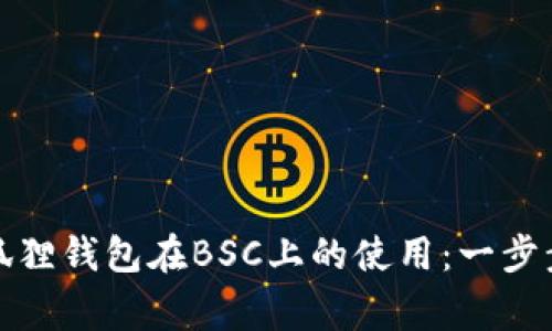 如何轻松设置小狐狸钱包在BSC上的使用：一步步指南与注意事项