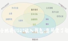 如何安全地将USDT放入钱包