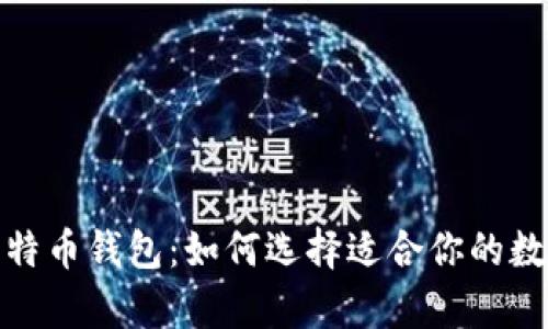 安全易用的比特币钱包：如何选择适合你的数字财富守护者
