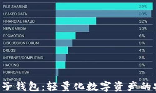 
揭秘LTC电子钱包：轻量化数字资产的安全守护者