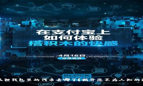 小狐狸钱包里的代币去哪了？揭开您不为人知的秘密