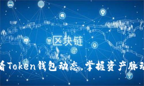 如何轻松查看Token钱包动态，掌握资产脉动与交易信息