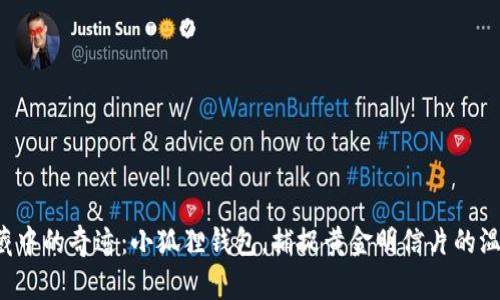 珍藏中的奇迹：小狐狸钱包，捕捉黄金明信片的温暖！