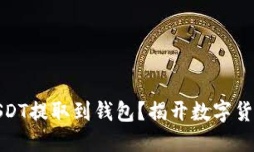 如何轻松将USDT提取到钱包？揭开数字货币的神秘面纱