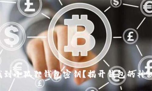 如何找到小狐狸钱包密钥？揭开钱包的神秘面纱！
