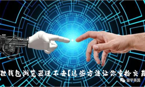 小狐狸钱包浏览器进不去？这些方法让你重拾交易信心