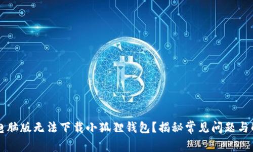 为什么电脑版无法下载小狐狸钱包？揭秘常见问题与解决方案