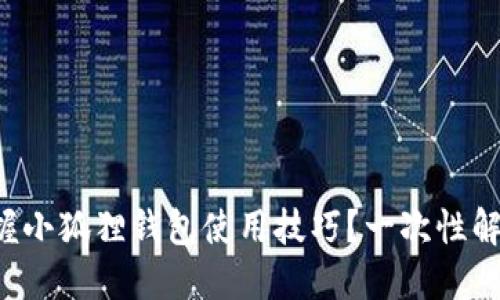 如何轻松掌握小狐狸钱包使用技巧？一次性解决你的疑问！