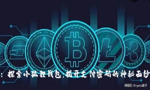: 探索小狐狸钱包：揭开支付密码的神秘面纱