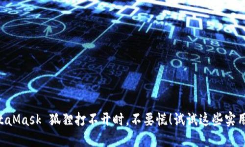 当你的 MetaMask 狐狸打不开时，不要慌！试试这些实用的解决办法