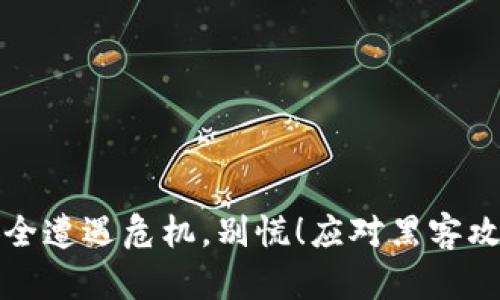 小狐狸钱包安全遭遇危机，别慌！应对黑客攻击的完整指南