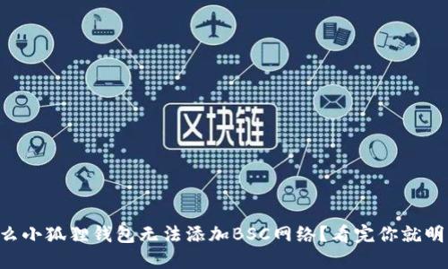 为什么小狐狸钱包无法添加BSC网络？看完你就明白了！