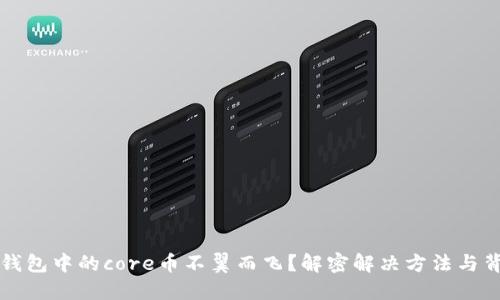 小狐狸钱包中的core币不翼而飞？解密解决方法与背后原因