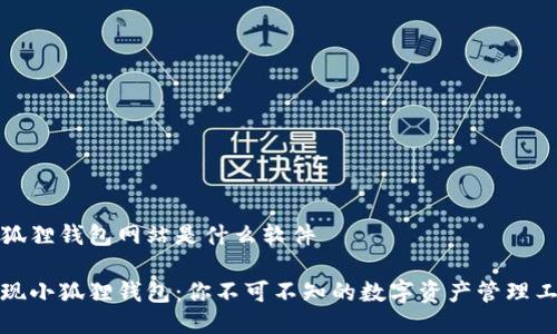 小狐狸钱包网站是什么软件

发现小狐狸钱包：你不可不知的数字资产管理工具
