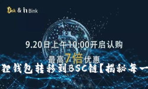 如何轻松将小狐狸钱包转移到BSC链？揭秘每一步的细节与技巧