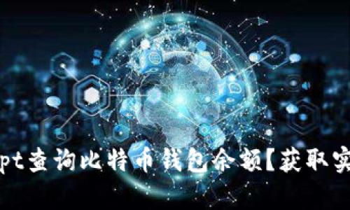 如何使用JavaScript查询比特币钱包余额？获取实时信息的详细指南