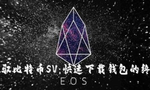 轻松驾驭比特币SV：快速下载钱包的终极指南
