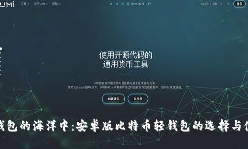 在数字钱包的海洋中：安卓版比特币轻钱包的选择与使用攻略