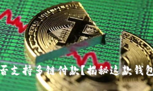 小狐狸钱包能否支持多链付款？揭秘这款钱包的潜能与限制