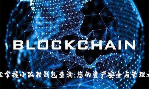 轻松掌握小狐狸钱包查询：您的资产安全与管理之道