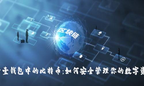 探索壹钱包中的比特币：如何安全管理你的数字资产？