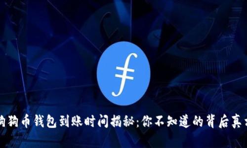 狗狗币钱包到账时间揭秘：你不知道的背后真相